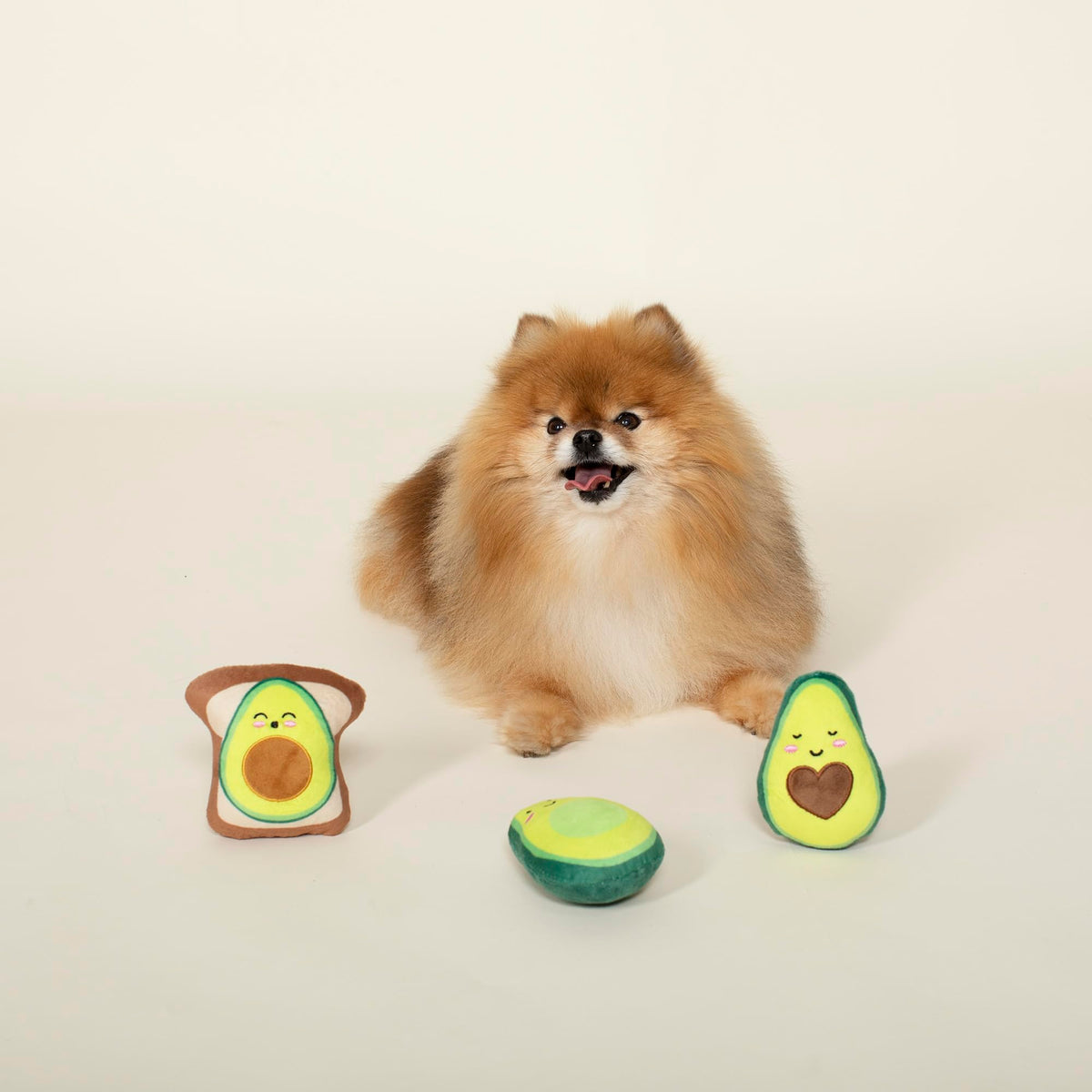 Set of 3 Pet Toy Set D754