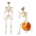 5.4FT Skeleton Halloween Decoration D865