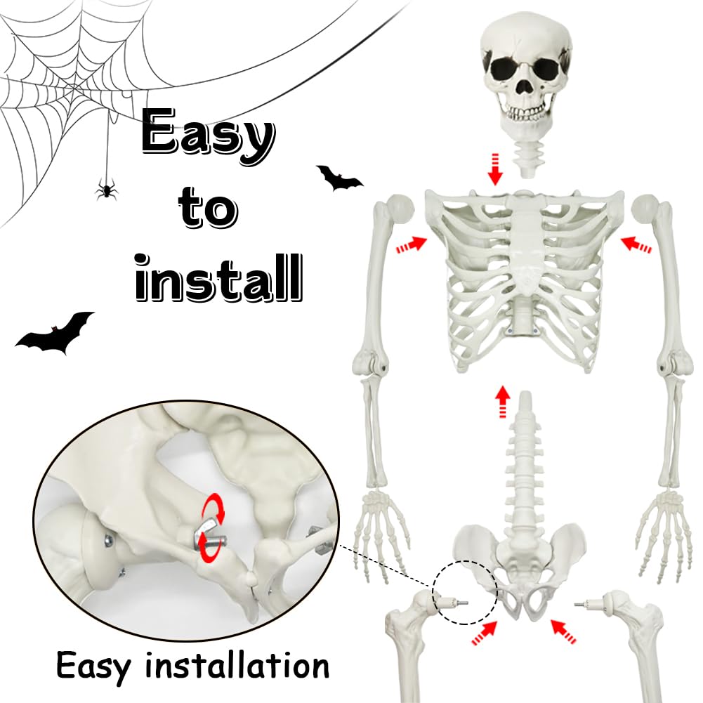 5.4Ft Posable Halloween Skeleton with Dog Cat Skeleton W457