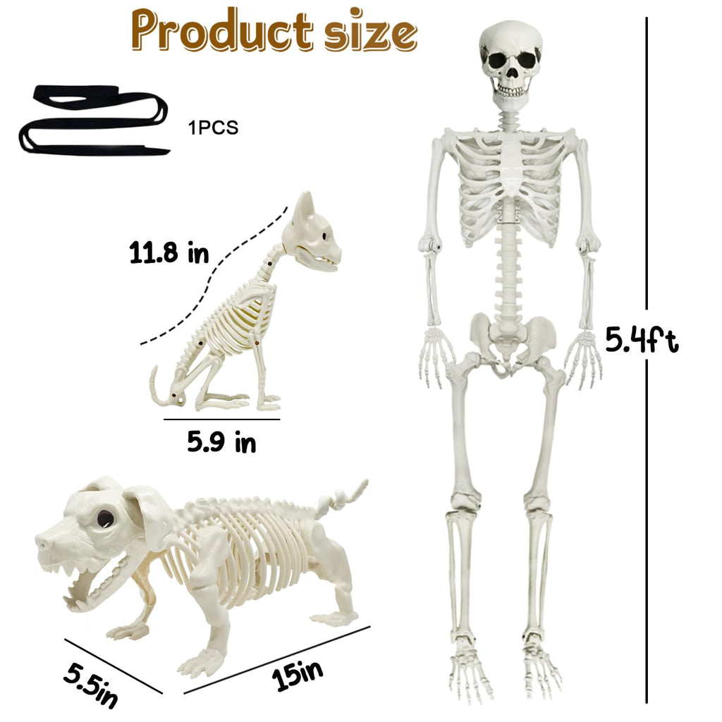 5.4Ft Posable Halloween Skeleton with Dog Cat Skeleton W457