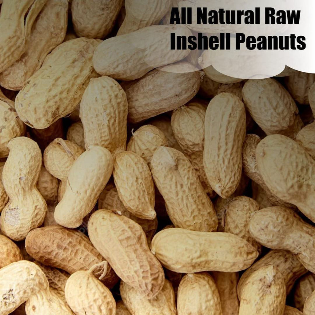 In-Shell Peanuts 8 lbs N3667