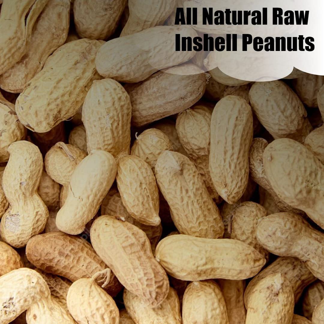 In-Shell Peanuts 8 lbs N3667