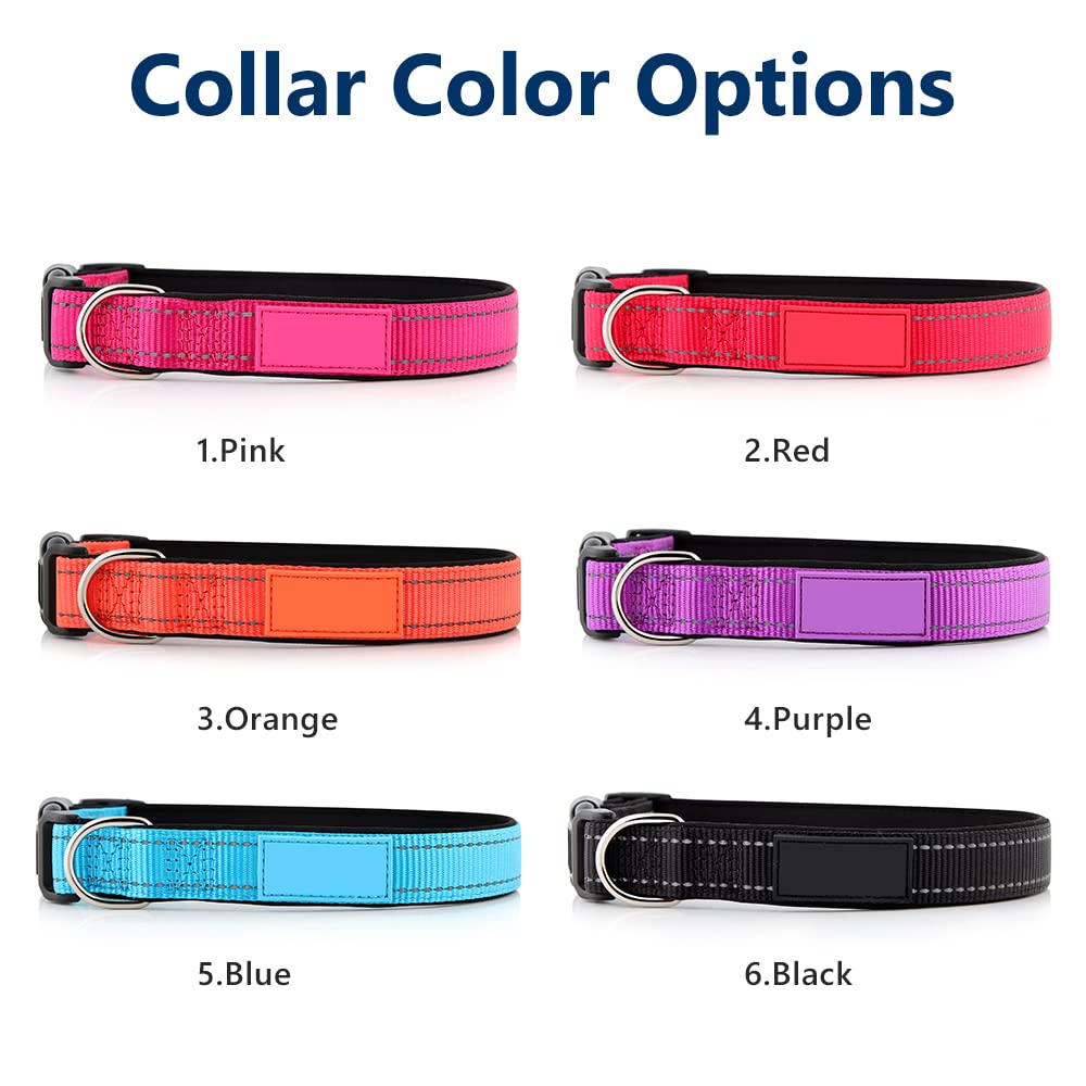 Personalized Dog Collars for Small Medium Dogs D64098