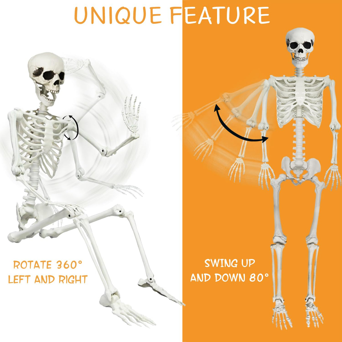 5.4Ft Posable Halloween Skeleton with Dog Cat Skeleton W457