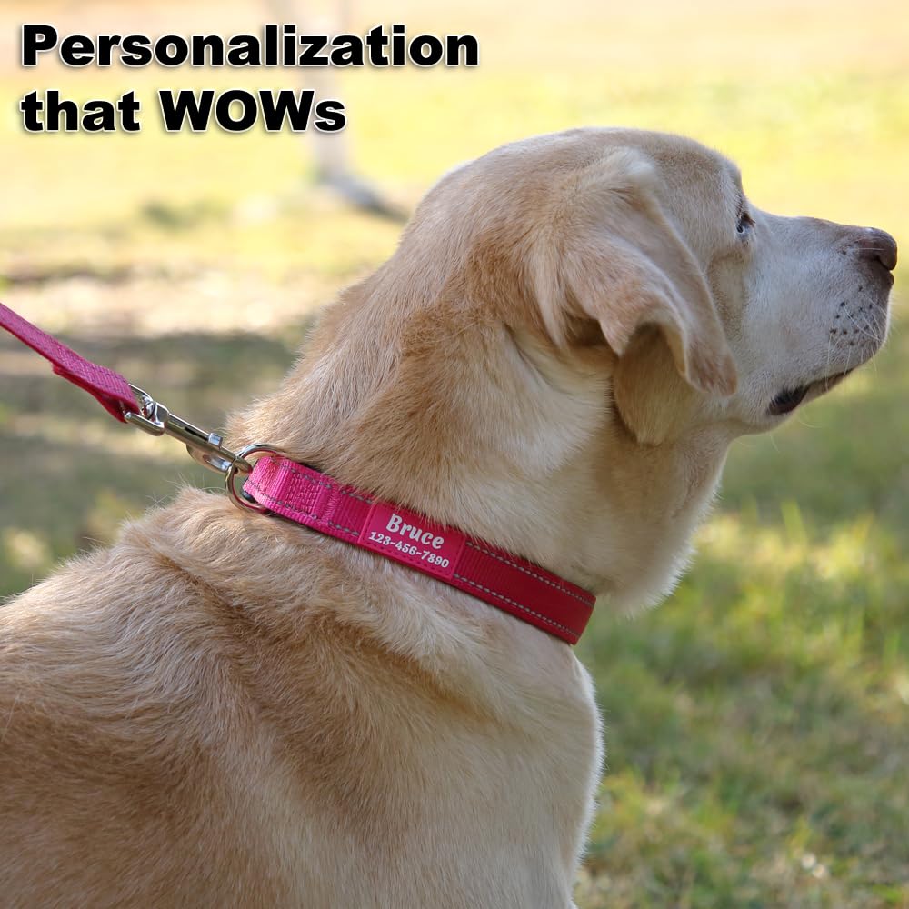 Personalized Dog Collars for Small Medium Dogs D64098
