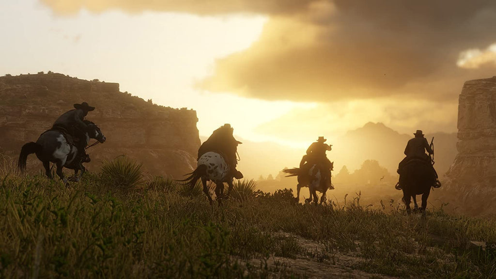 Red Dead Redemption 2 PS4 D689