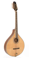 Octave Mandolin T766964