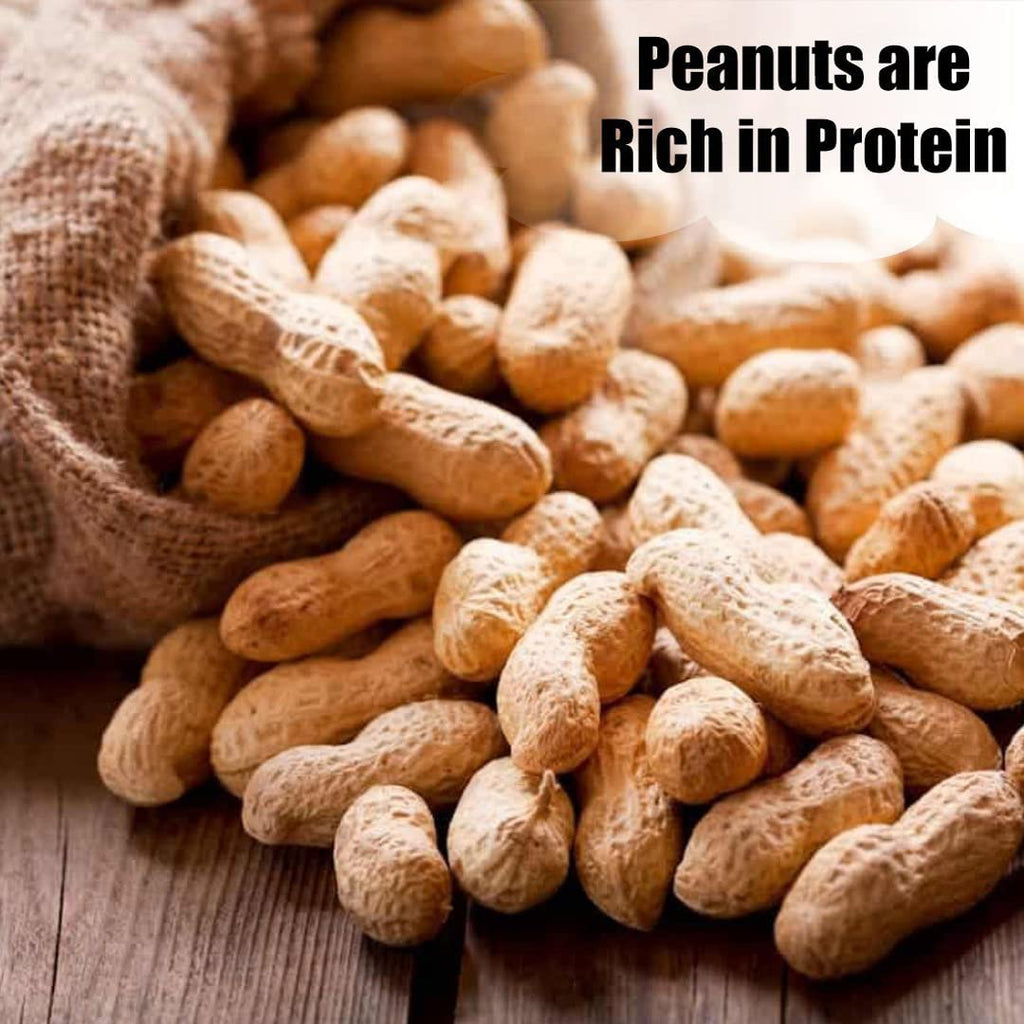 In-Shell Peanuts 8 lbs N3667