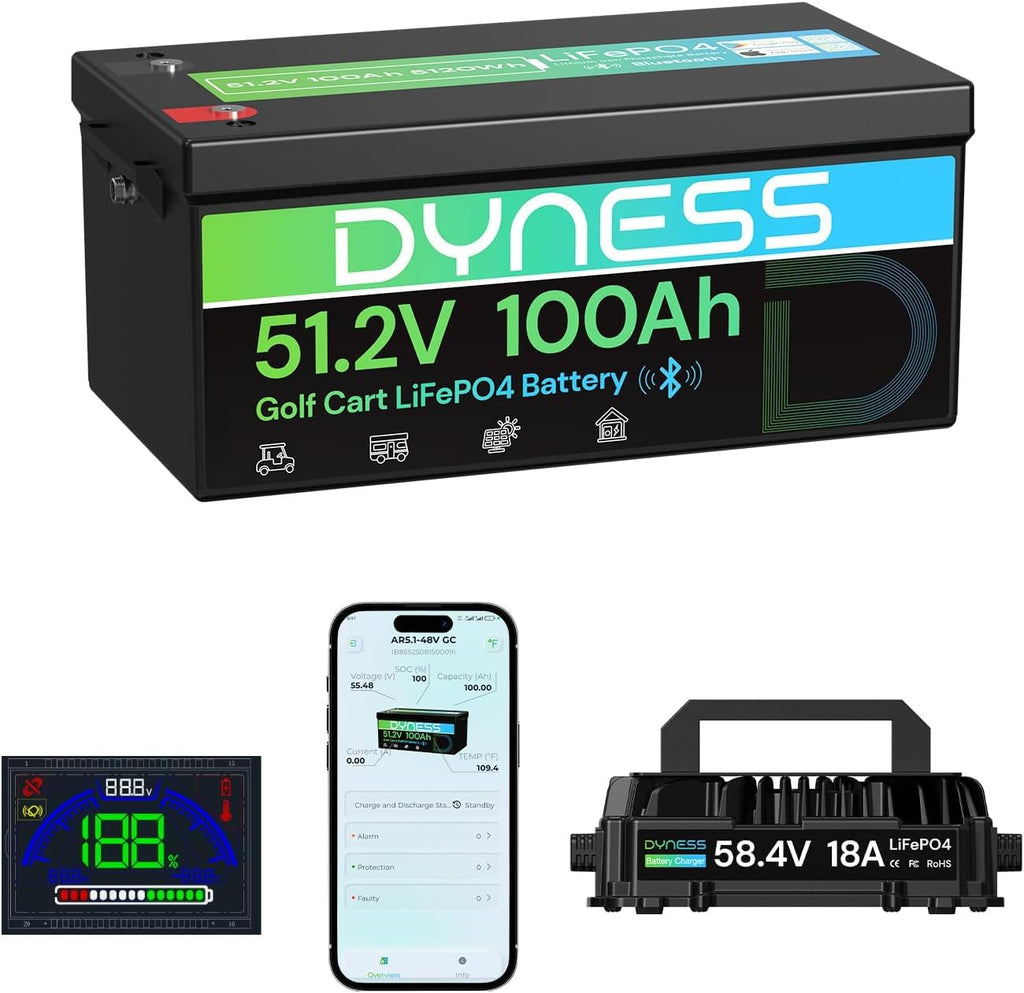 48V 100Ah Lithium Golf Cart Battery with Charger E720574