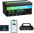 48V 100Ah Lithium Golf Cart Battery with Charger E720574