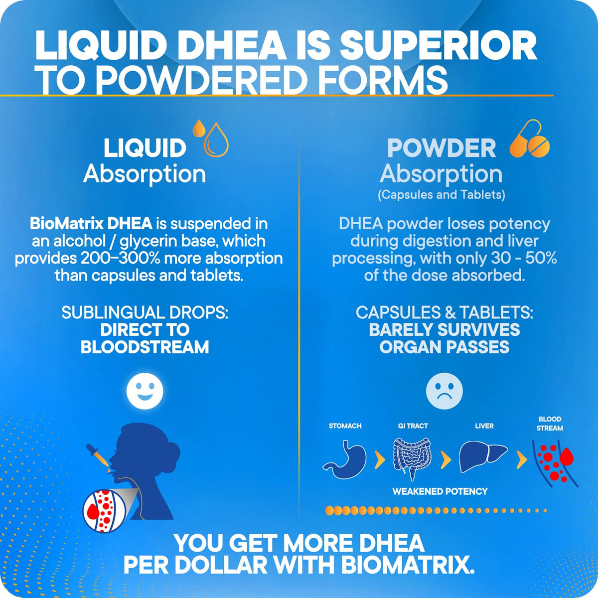 DHEA Liquid Drops 30 ml Y737