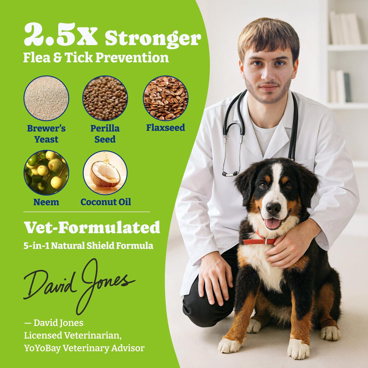 Flea & Tick Prevention for Dogs Chewables H776451