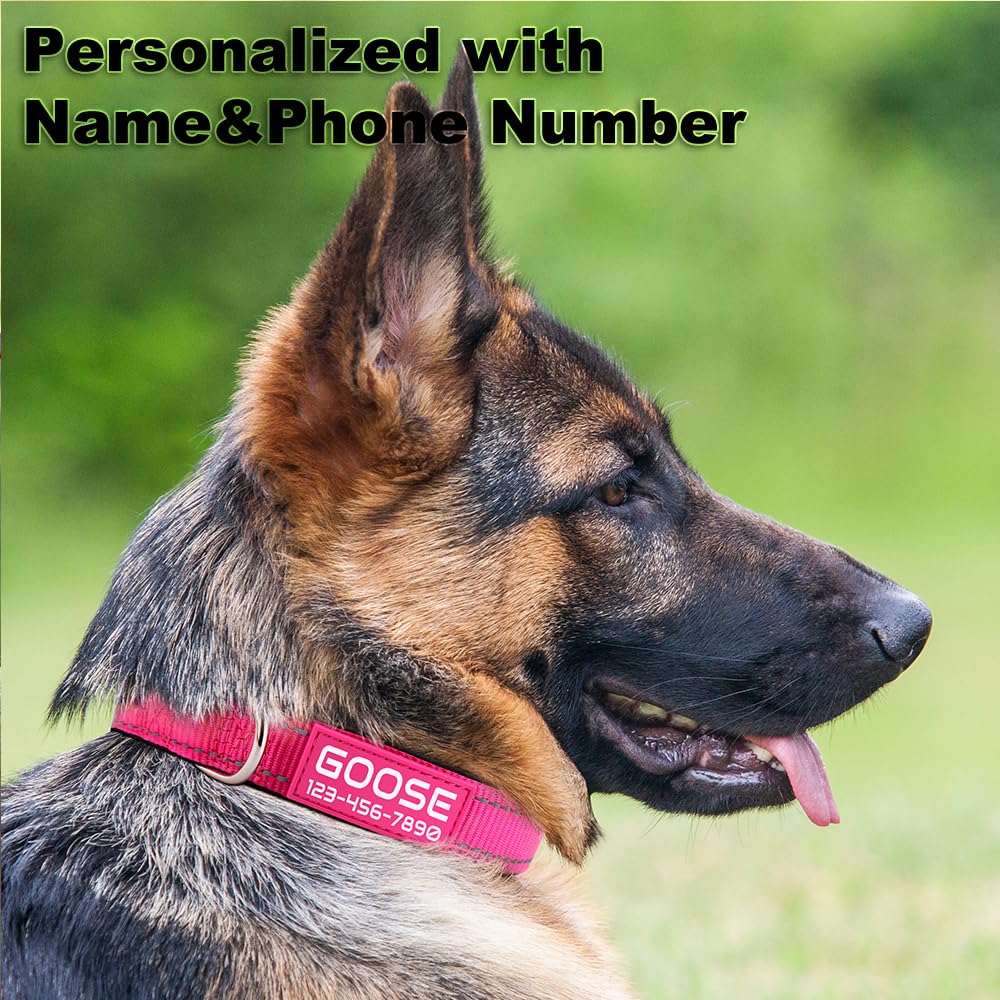 Personalized Dog Collars for Small Medium Dogs D64098