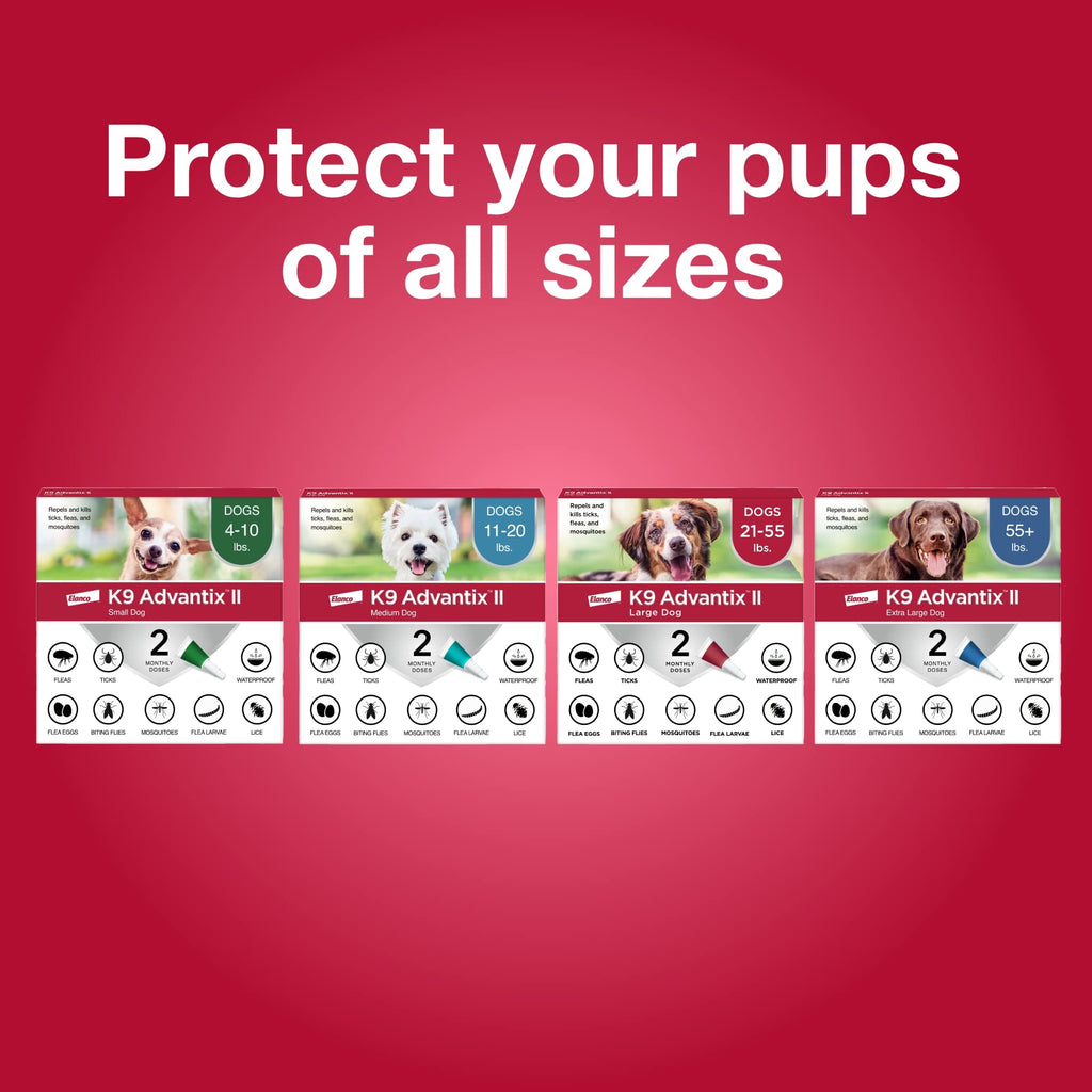 Flea & Tick Topical for Small Dogs 4–10 lbs. W1252