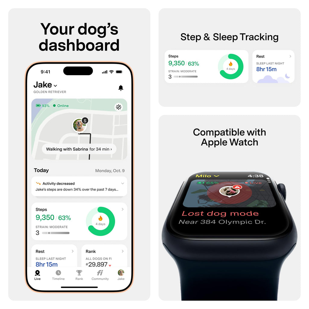 GPS Dog Collar & Tracker O758