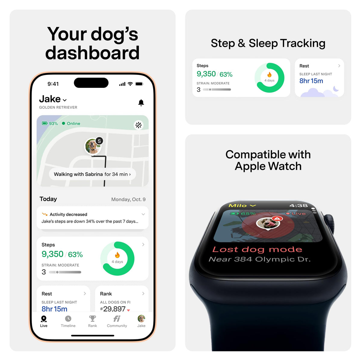 GPS Dog Collar & Tracker O758