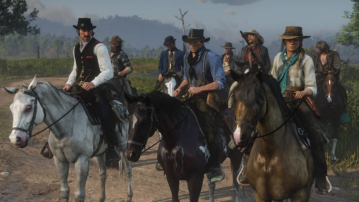 Red Dead Redemption 2 PS4 D689