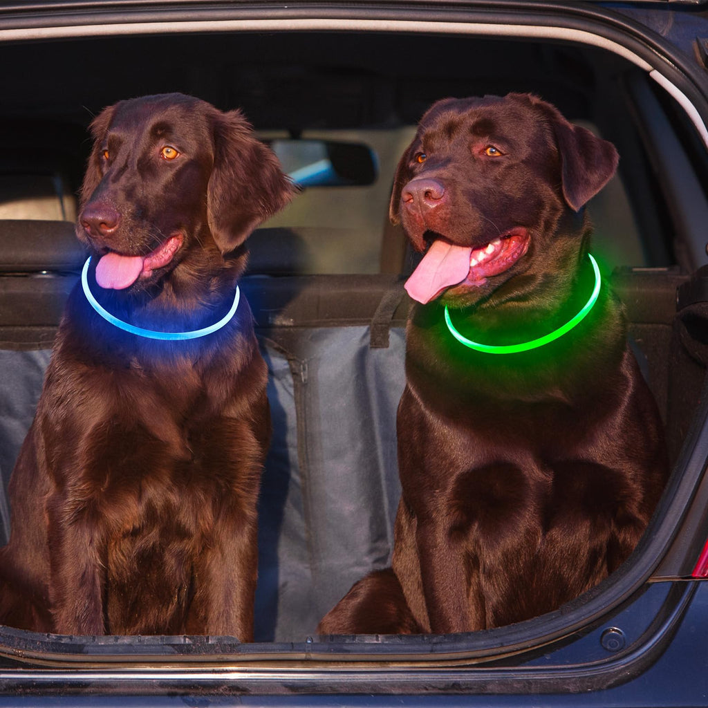 2 Packs Light Up Dog Collar M425925