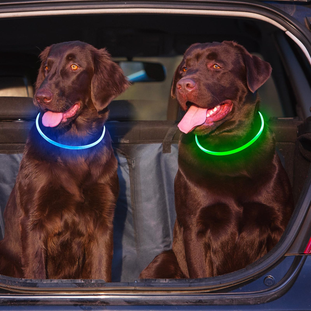 2 Packs Light Up Dog Collar M425925