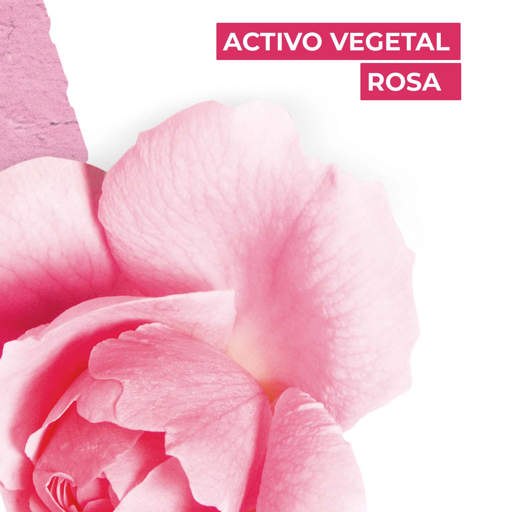 Rose EDT Spray 100 ml S8704