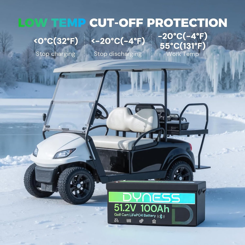 48V 100Ah Lithium Golf Cart Battery with Charger E720574