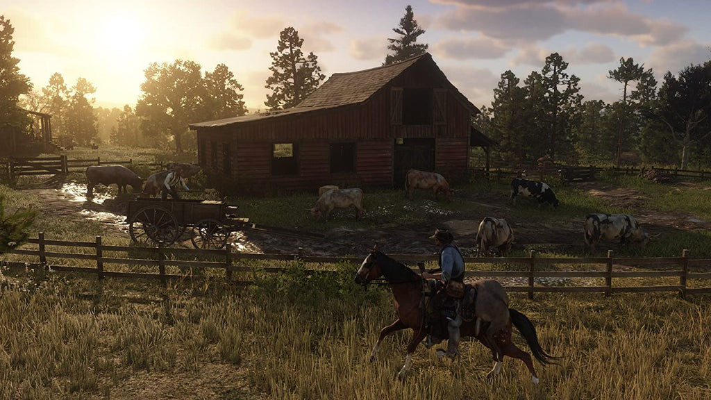 Red Dead Redemption 2 PS4 D689