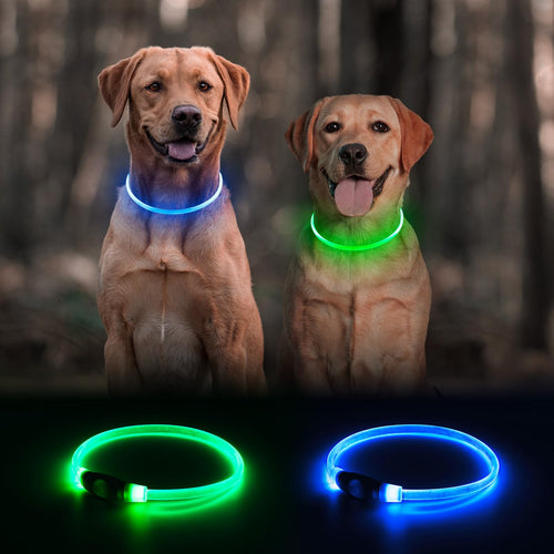 2 Packs Light Up Dog Collar M425925
