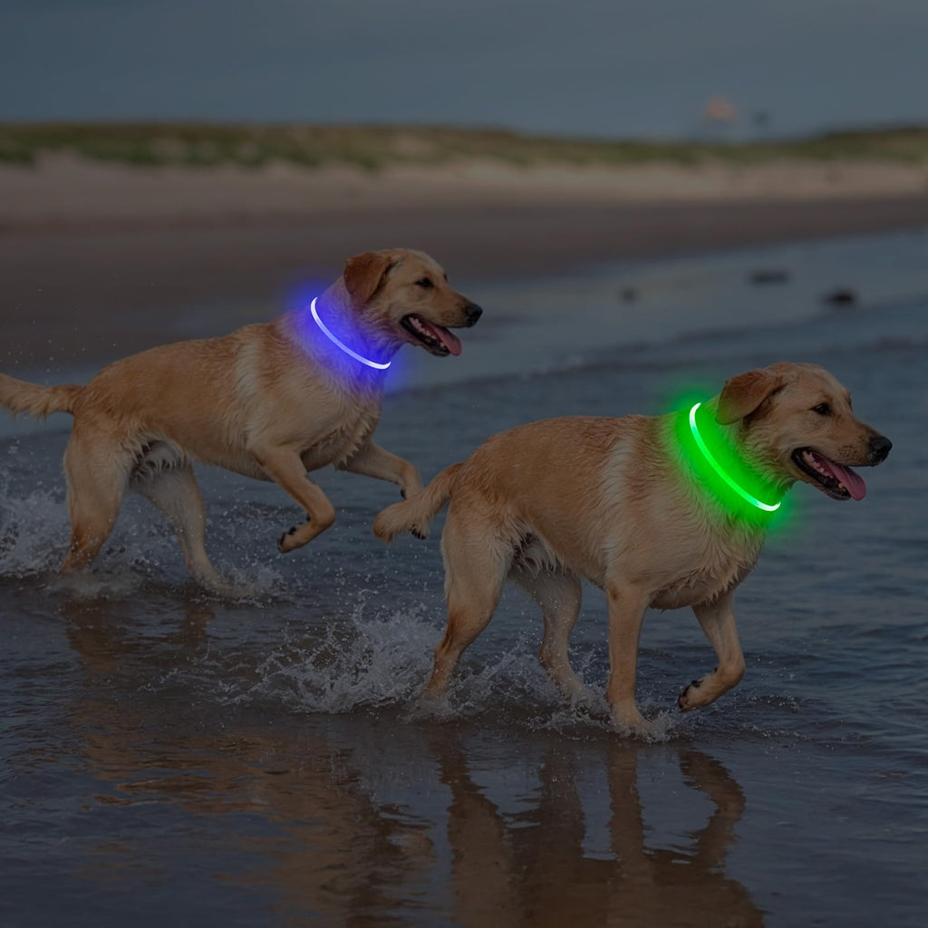 2 Packs Light Up Dog Collar M425925
