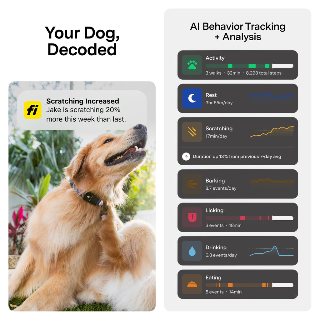 GPS Dog Collar & Tracker O758