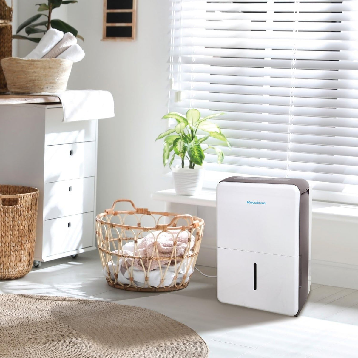 50-Pint Portable Dehumidifier with Auto-Shutoff and Timer K76781