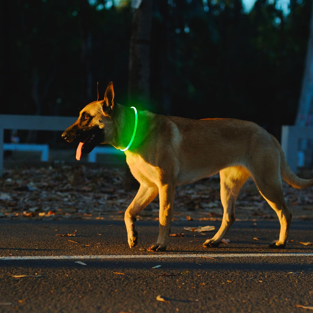 2 Packs Light Up Dog Collar M425925