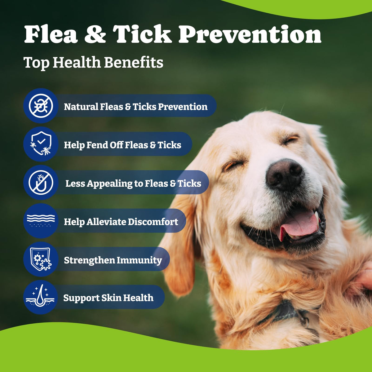 Flea & Tick Prevention for Dogs Chewables H776451
