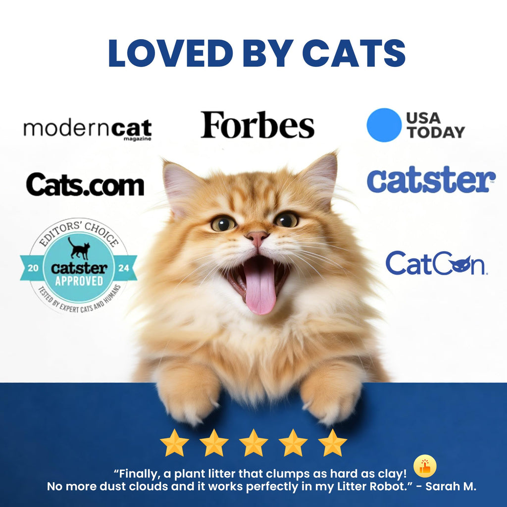 Natural Lightweight Clumping Flushable Cat Litter V909