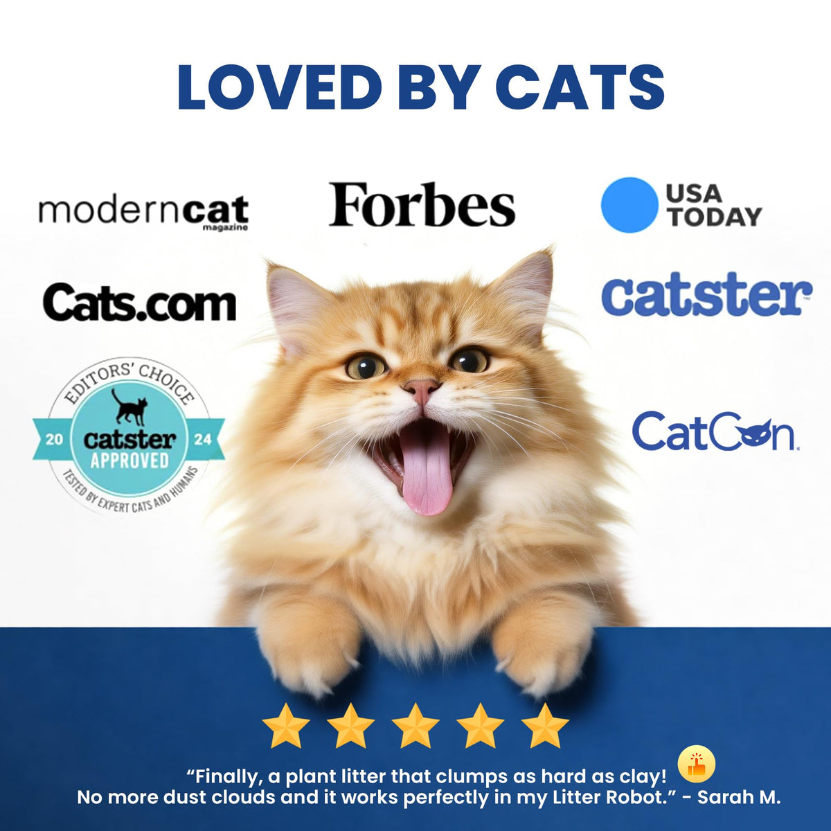 Natural Lightweight Clumping Flushable Cat Litter V909