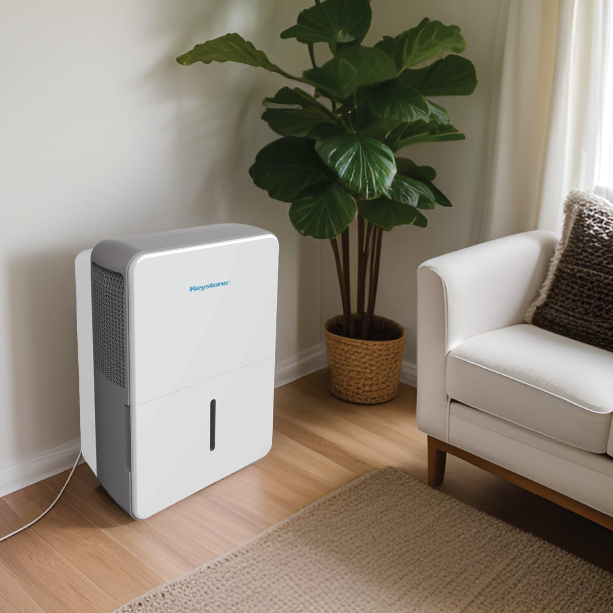 50-Pint Portable Dehumidifier with Auto-Shutoff and Timer K76781