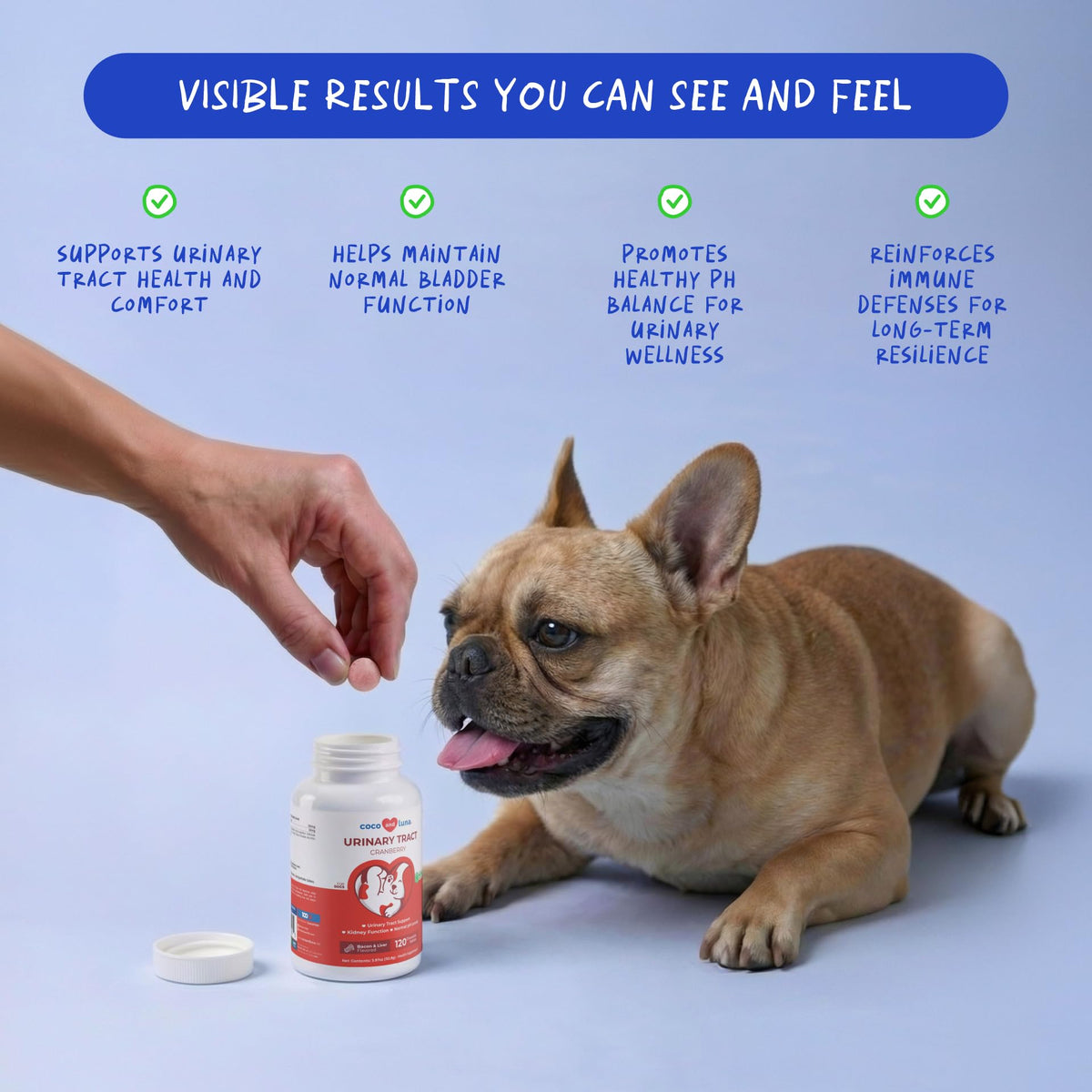 Cranberry Supplement for Dogs 120 ct Q8949