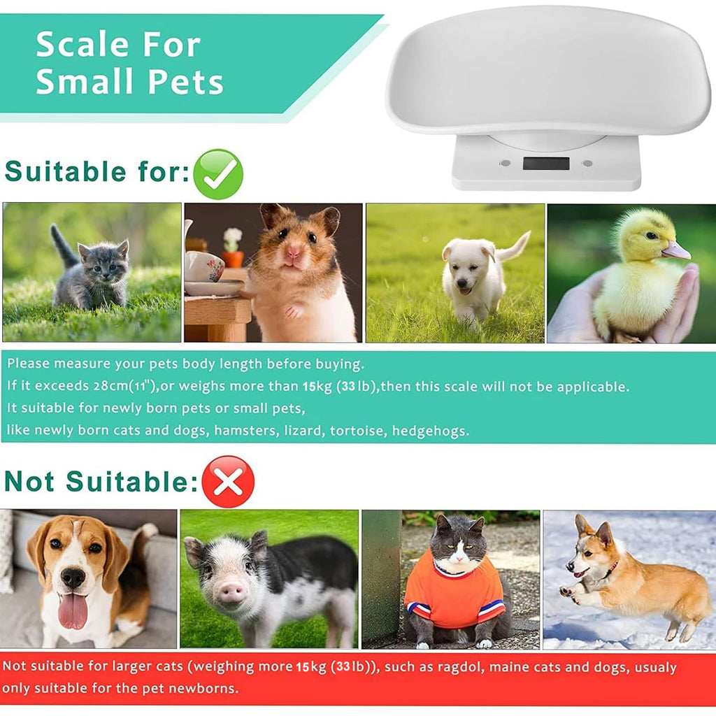 Digital Pet Scale H61081