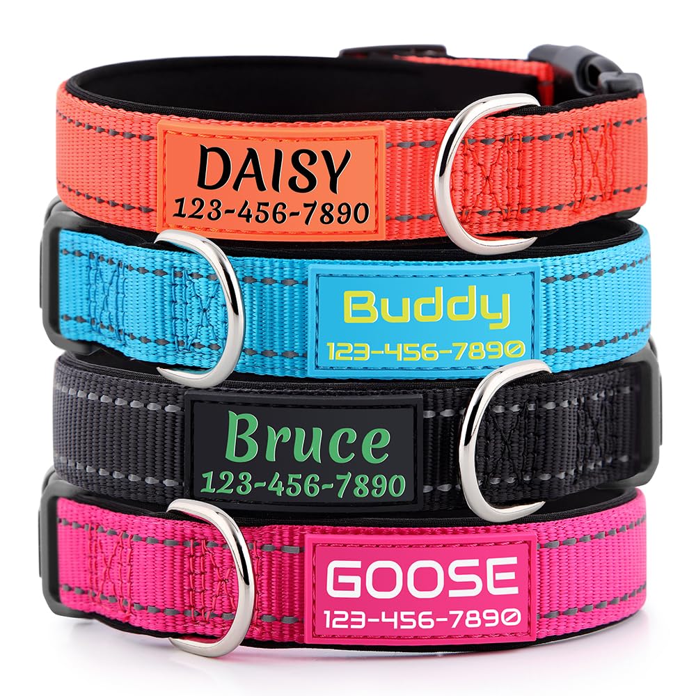 Personalized Dog Collars for Small Medium Dogs D64098