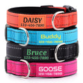 Personalized Dog Collars for Small Medium Dogs D64098