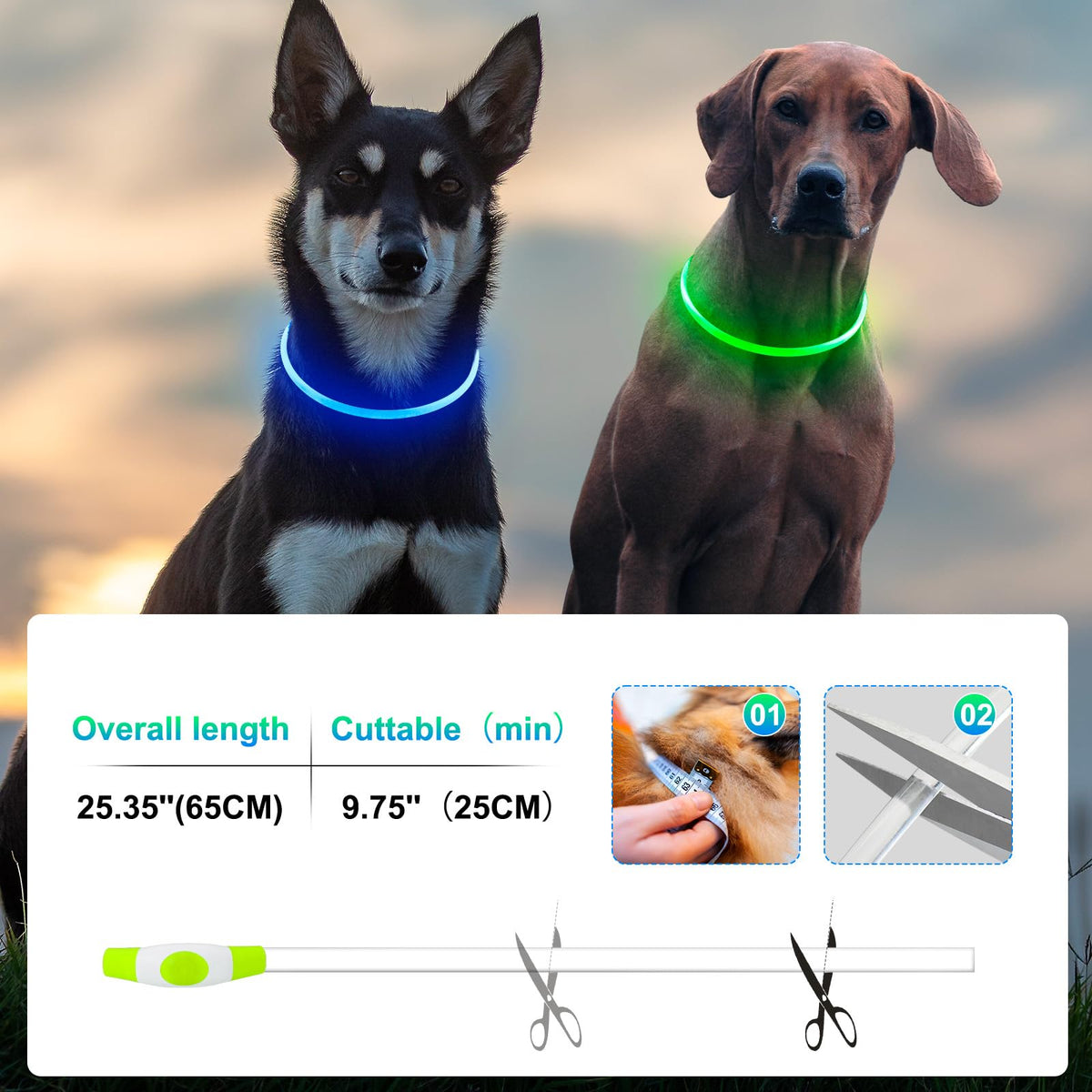 2 Packs Light Up Dog Collar M425925