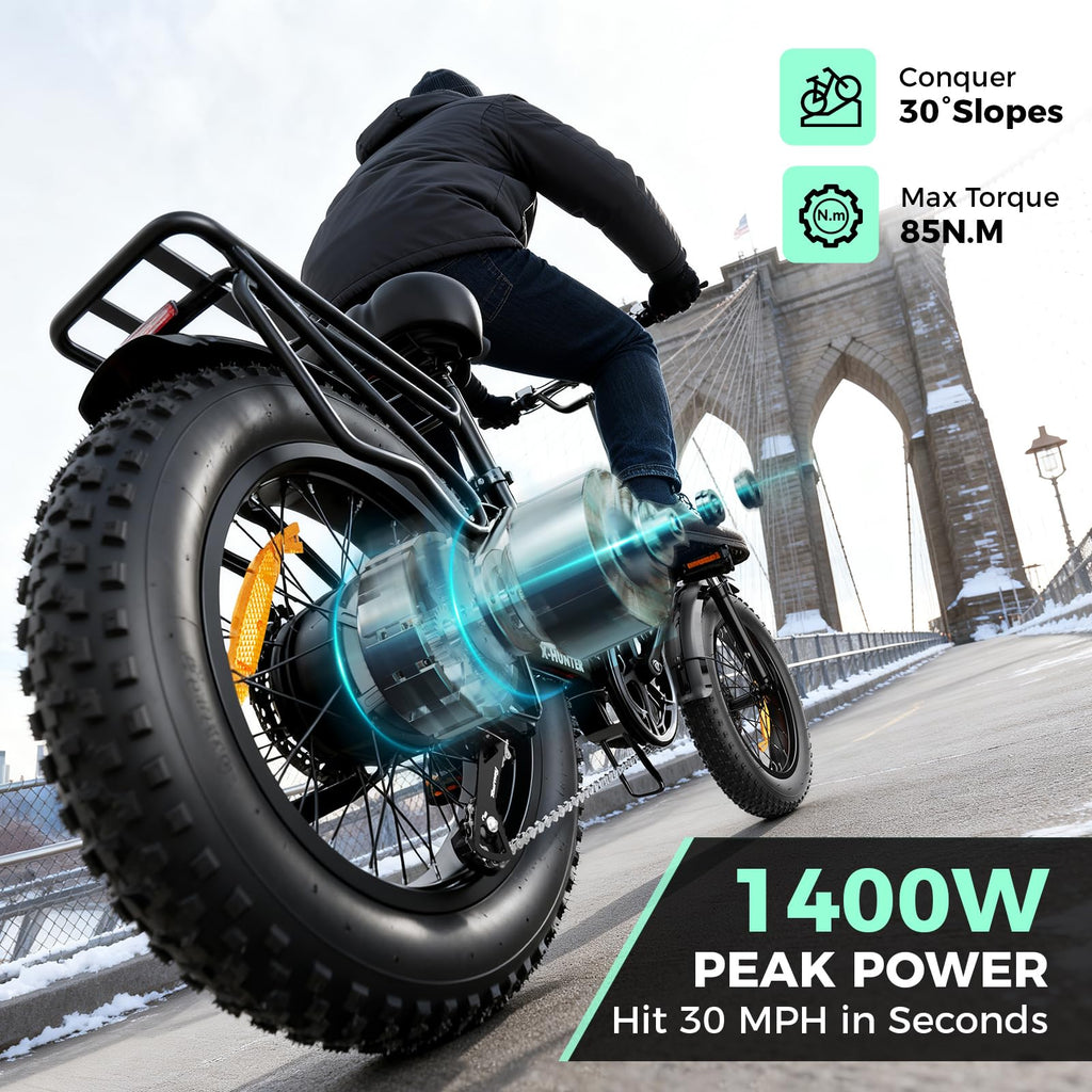 1400W Peak 20'' Fat Tire Foldable Electric Bike C7753