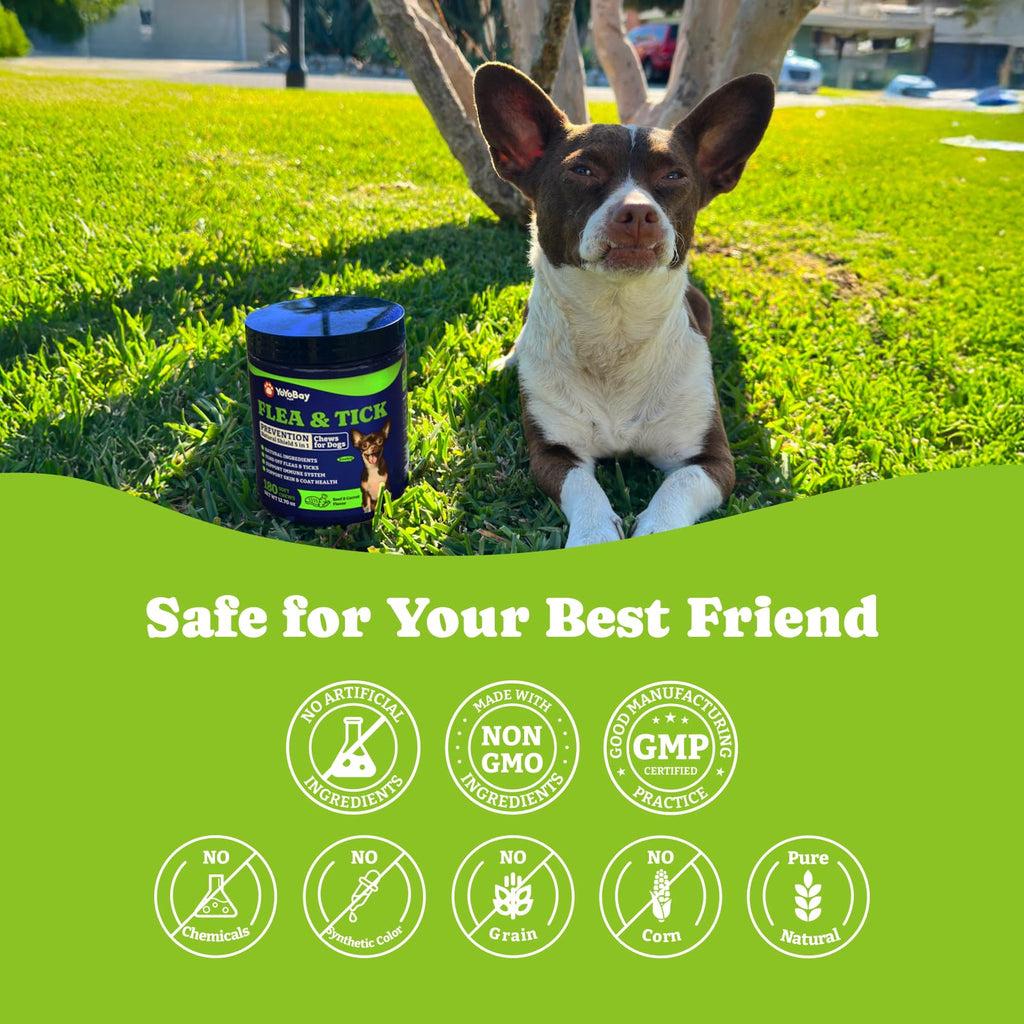 Flea & Tick Prevention for Dogs Chewables H776451