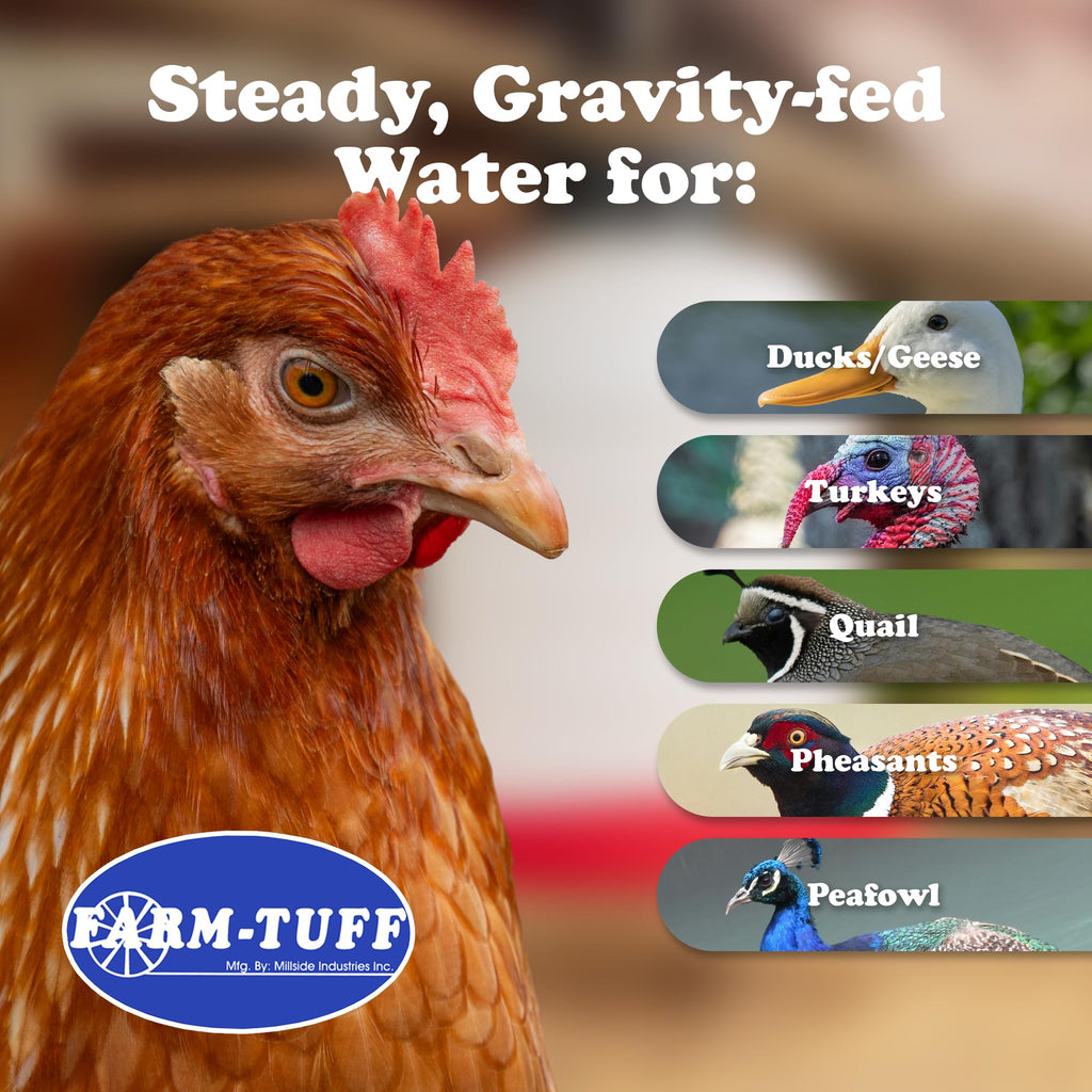 5-Gallon Hanging Chicken Waterer M4085