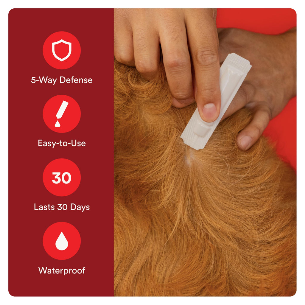 7 Way DeWormer and Flea and Tick Prevention for Small Dogs 6 Count K5133