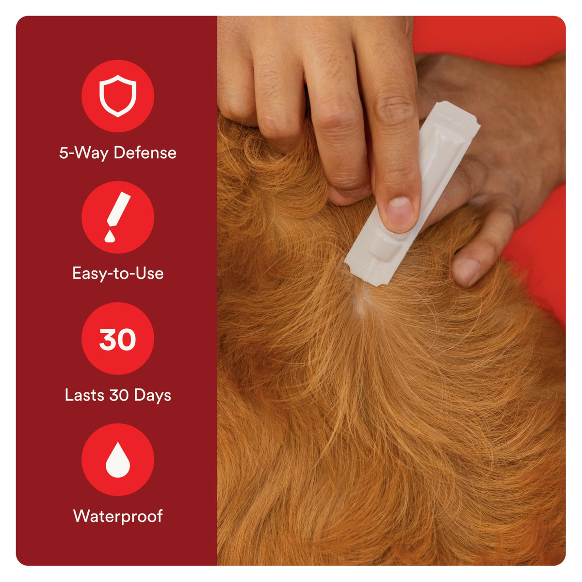 7 Way DeWormer and Flea and Tick Prevention for Small Dogs 6 Count K5133