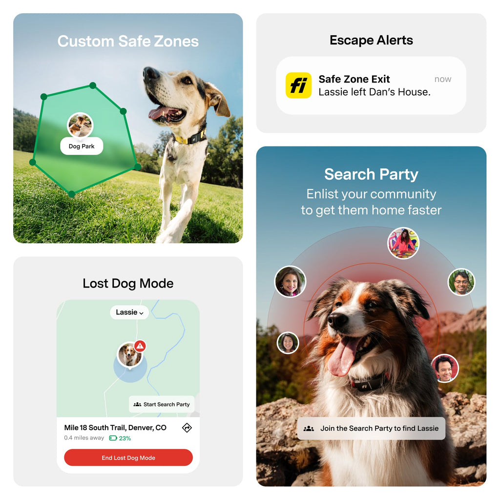 GPS Dog Collar & Tracker O758