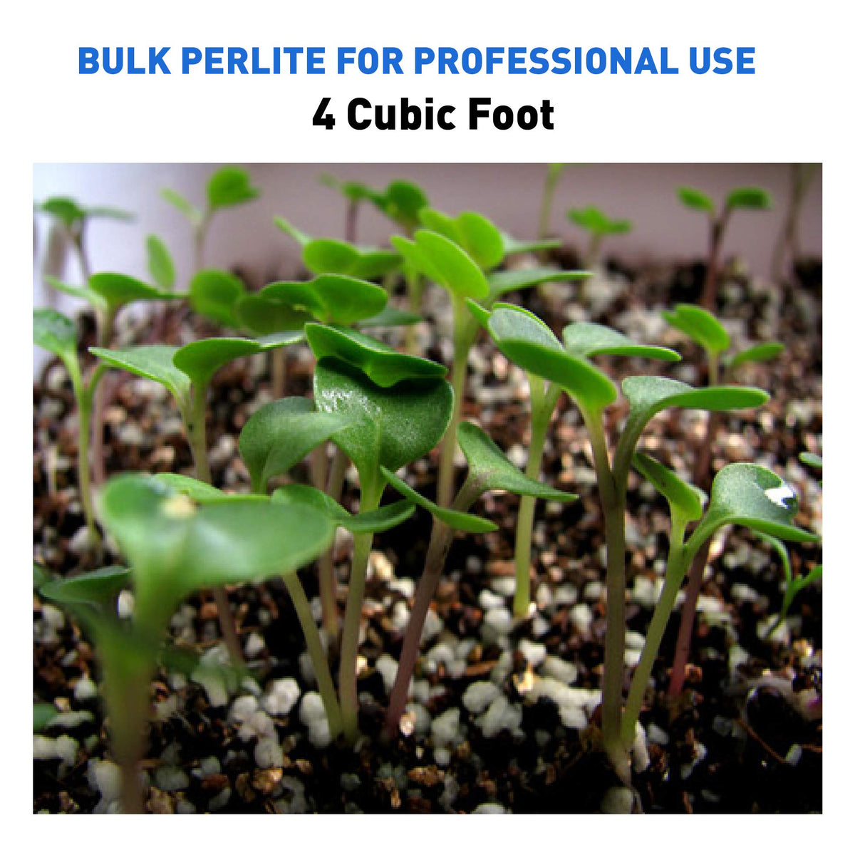 Horticultural Grade Expanded Perlite 4 Cubic Foot M687241