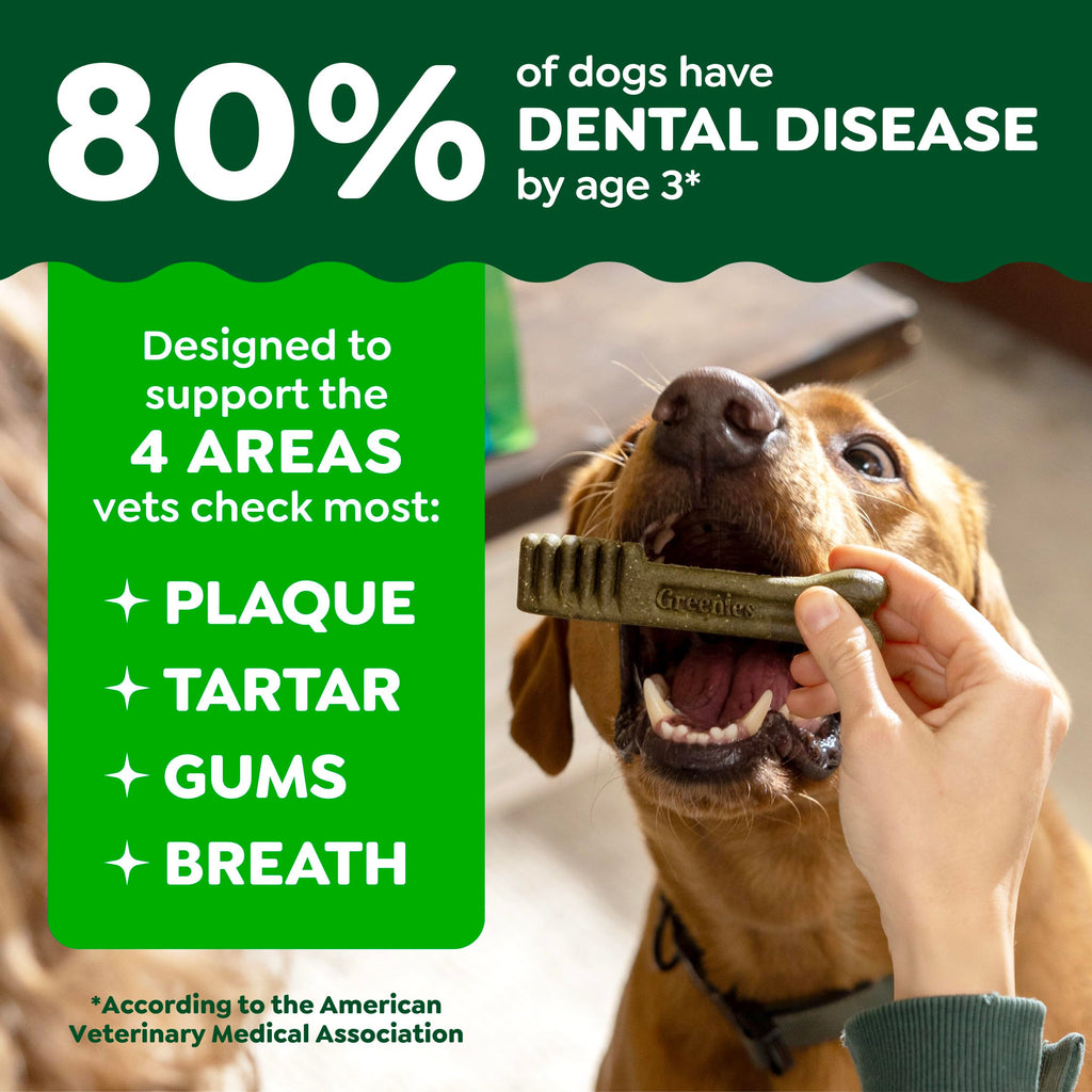Chicken Dental Dog Treats 43 Count Z954512
