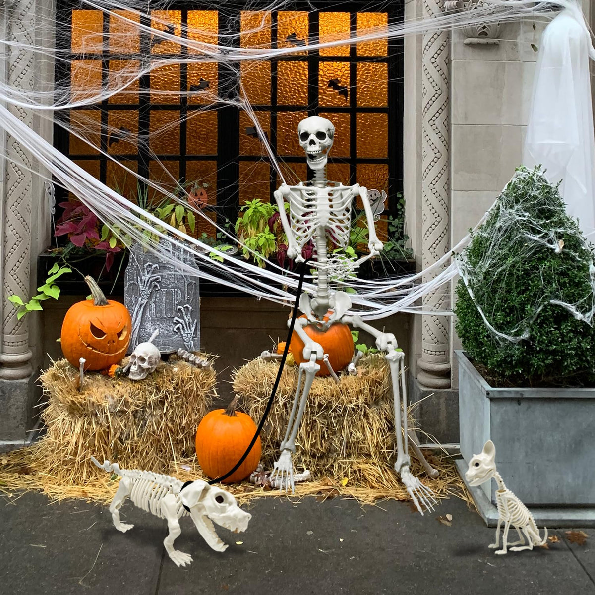 5.4Ft Posable Halloween Skeleton with Dog Cat Skeleton W457