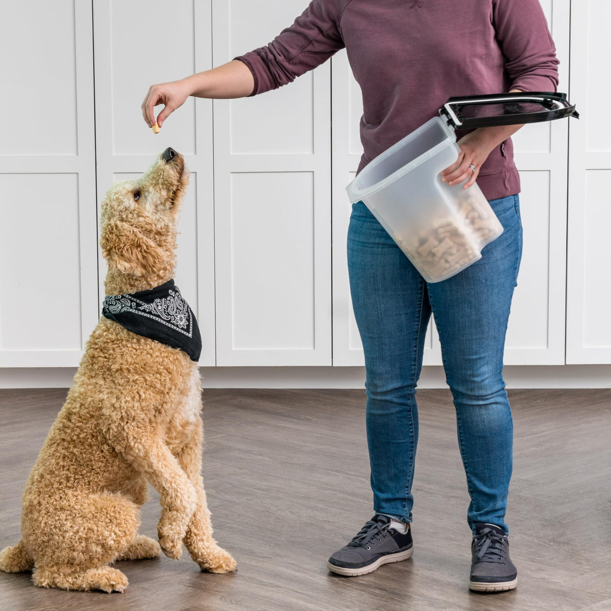 Black Dog Food Storage Container E51252